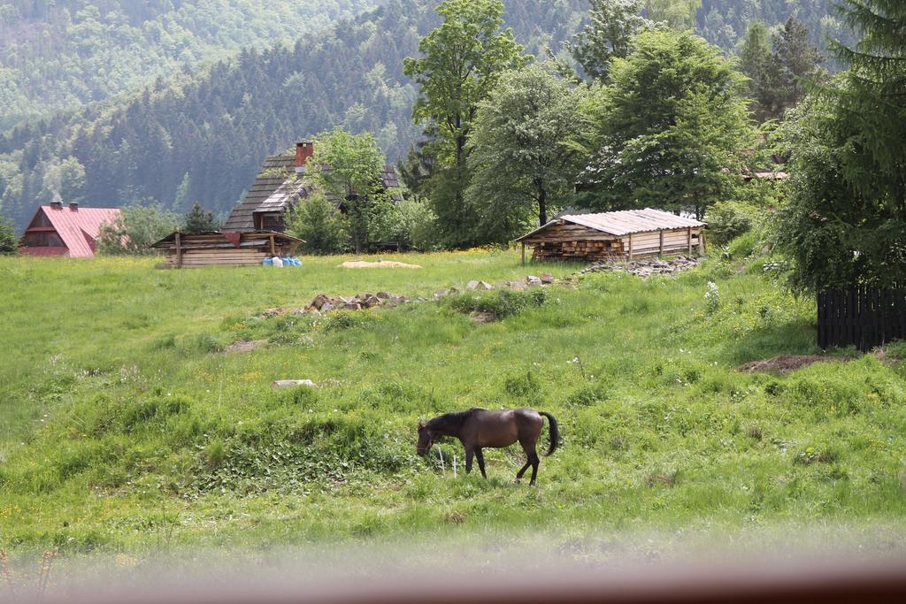 Viva Maria Apartamenty Zakopane Exterior foto